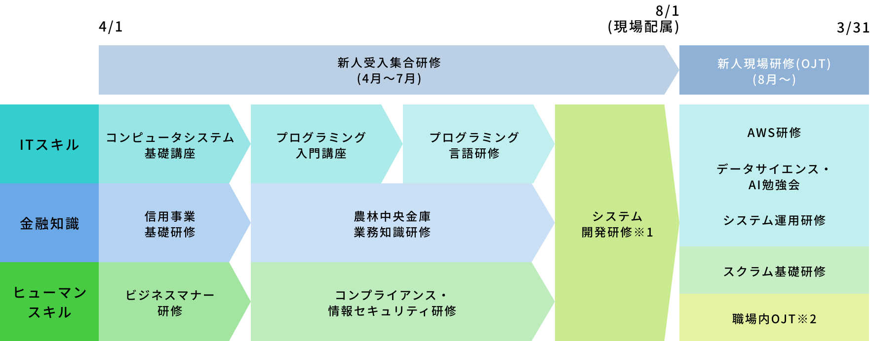 新入社員（入社1年目）研修体系図